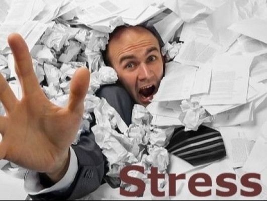 Lezing Stress en stressmanagement